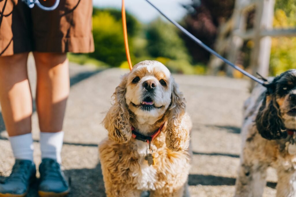 pexels-photo-33295047-33295047.jpg
